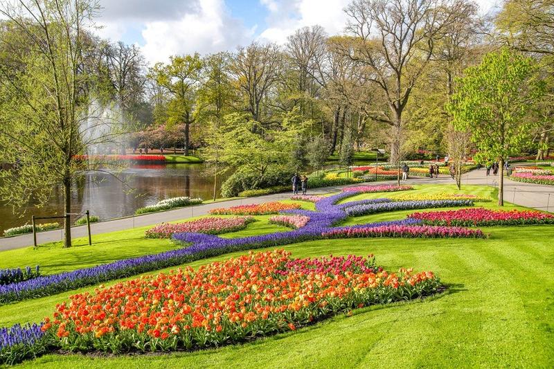 Blühende Tulpenfelder im Keukenhof