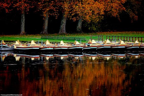 Gondelfahrt im Wörlitzer Park