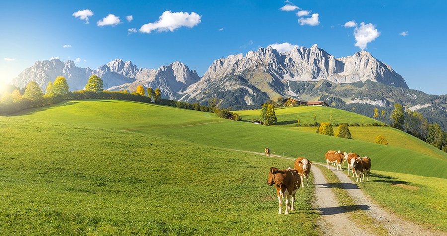 Musiksommer am Wilden Kaiser