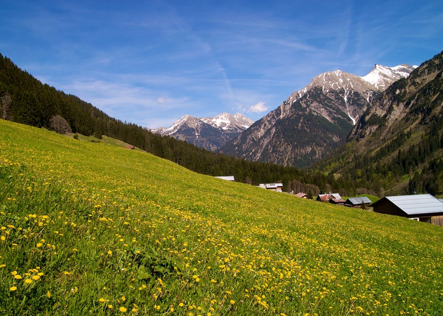 Traumhaftes Kleinwalsertal