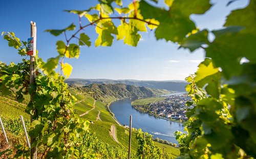 Mosel, Eifel und Trier