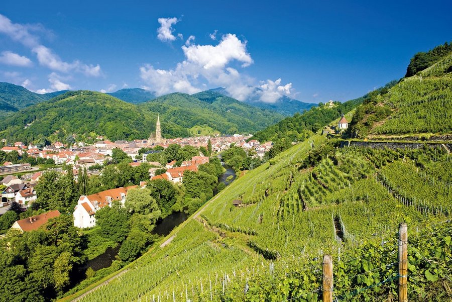 Schwarzwald im Dreiländereck