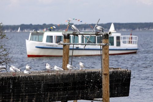 Naturparadies Steinhuder Meer