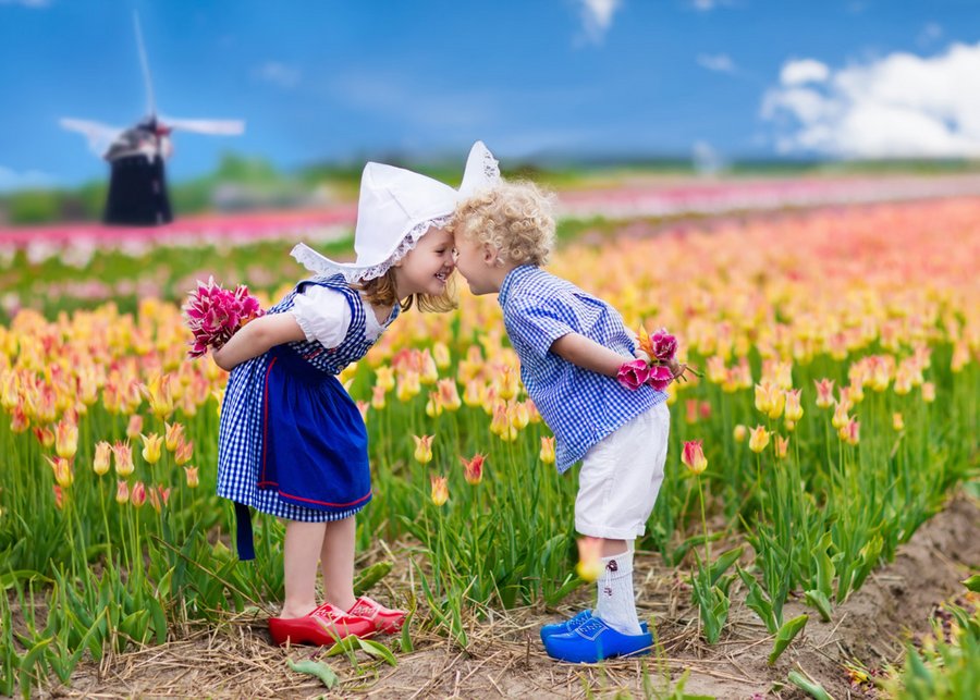 Zur Tulpenblüte nach Holland