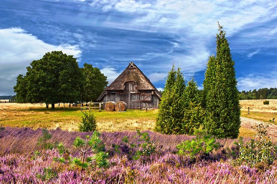 Lüneburger Heide mit Kremserfahrt