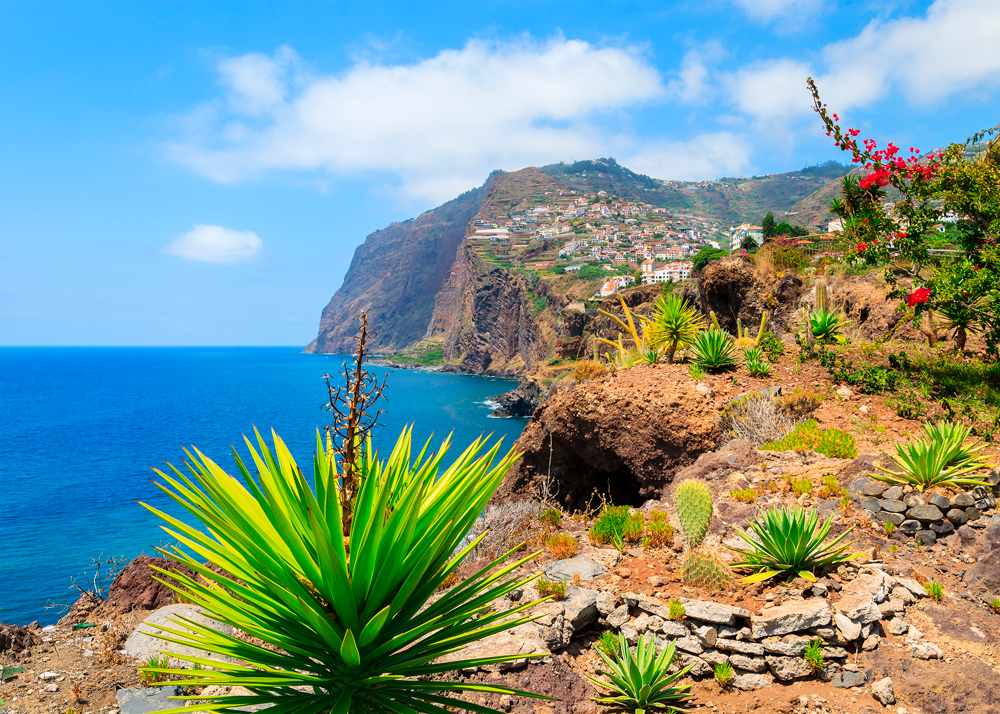 Blumeninsel Madeira