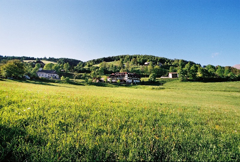 Almabtrieb in der Steiermark