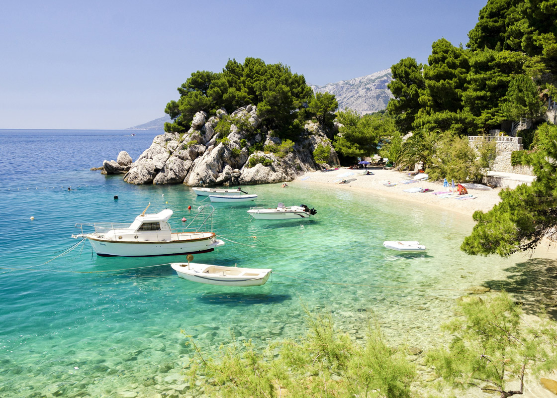 Mandarinenernte im sonnigen Kroatien