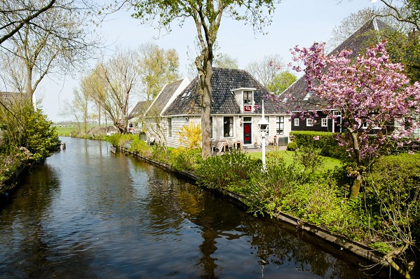 Frühlingserwachen in Holland