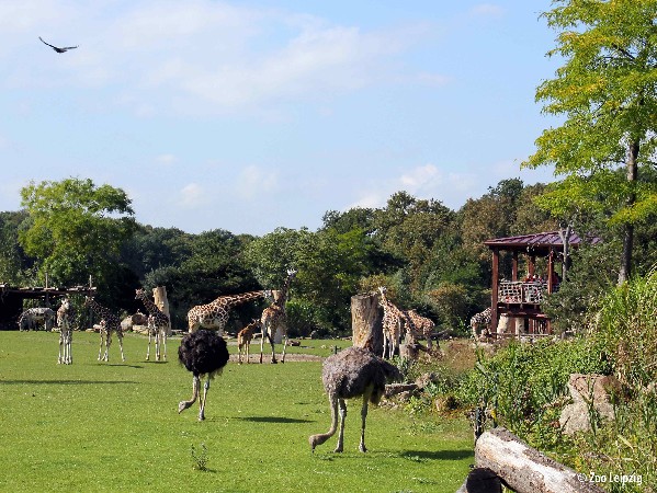 Leipzig Zoo