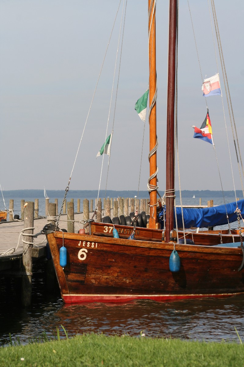 Naturparadies Steinhuder Meer