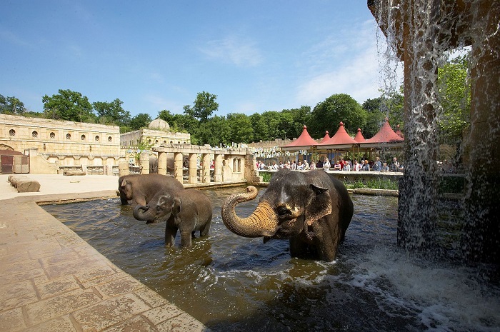 Erlebnis-Zoo Hannover