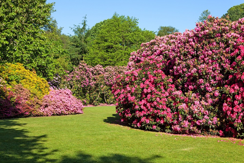 Gartenkunst im Land der Sorben