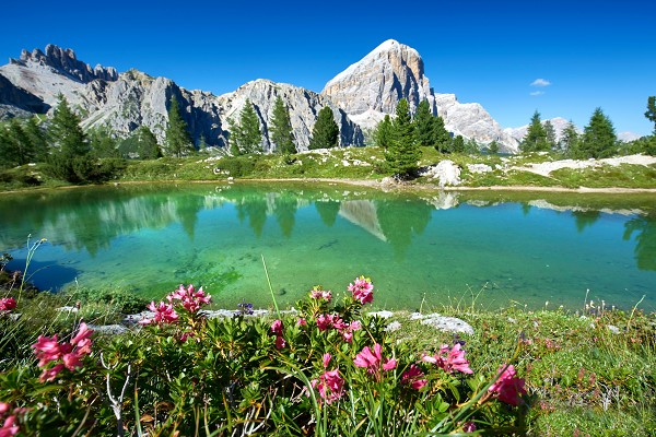 Mit Volldampf durch die Alpen