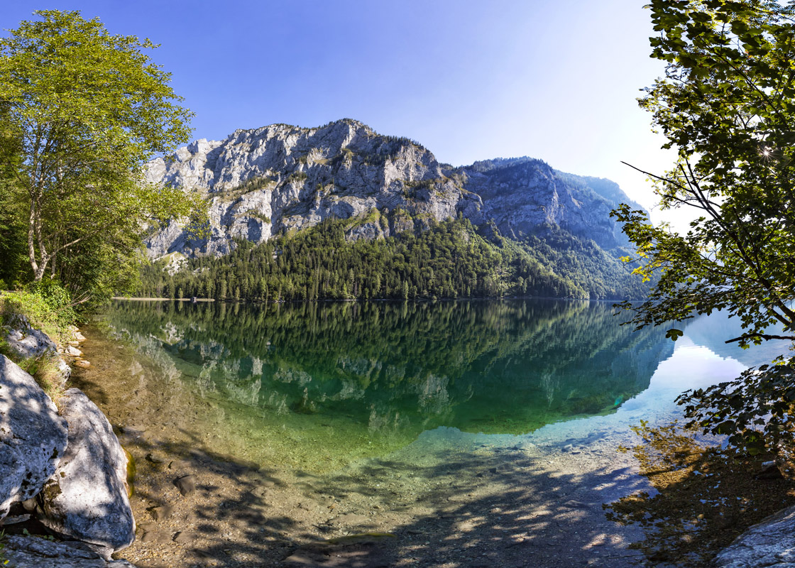 Almabtrieb in der Steiermark