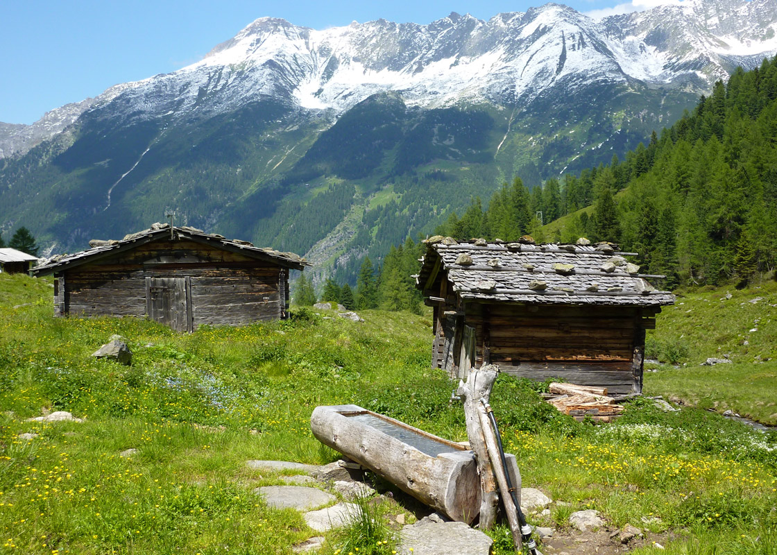 Almabtrieb in der Steiermark