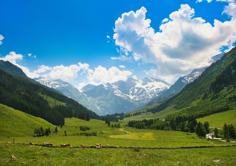 Dem Großglockner hautnah