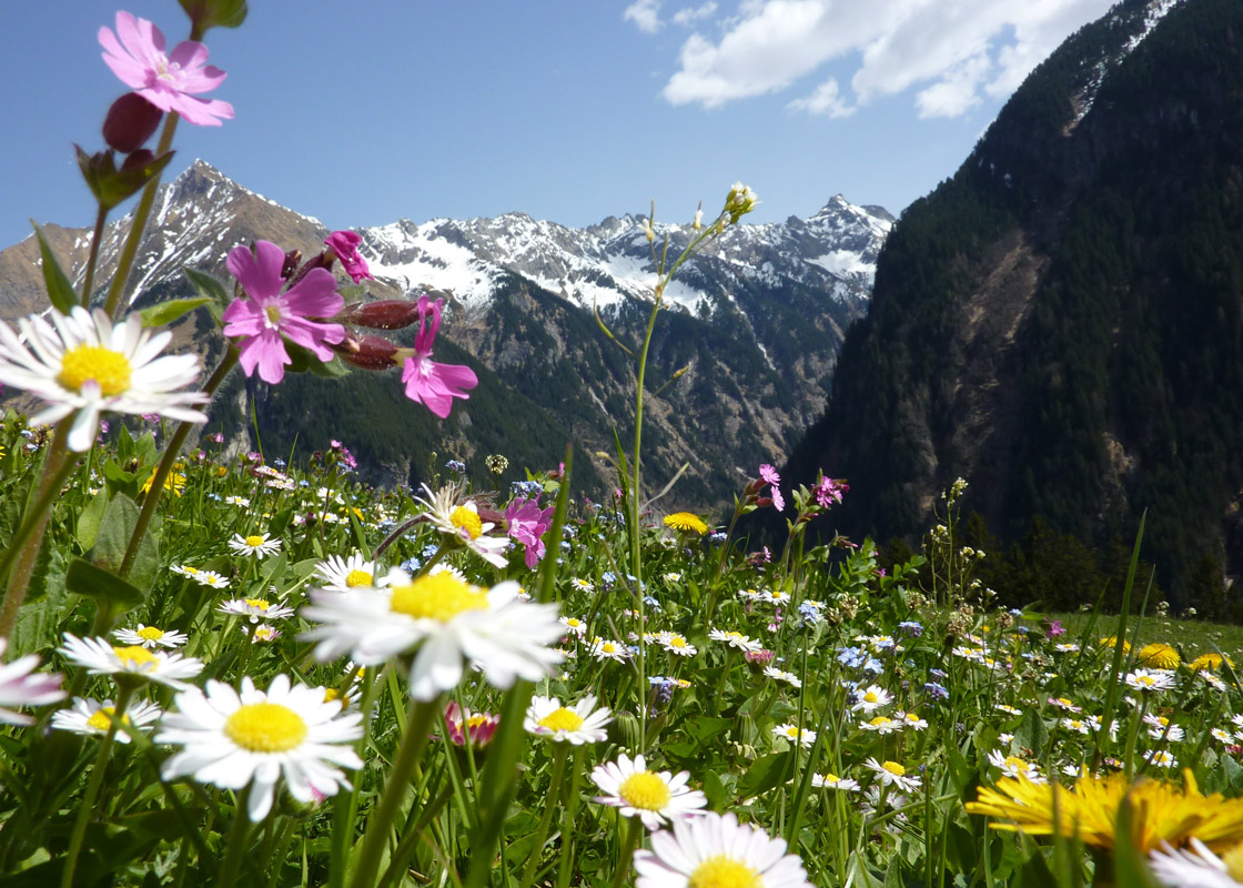 Traumurlaub im Stubaital