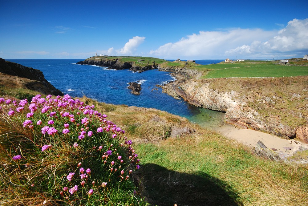 Faszinierend grünes Irland