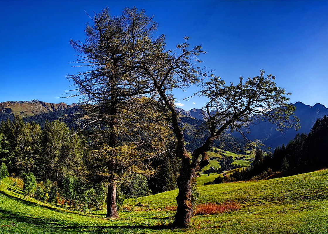 Urlaubsvergnügen im schönen Kleinwalsertal